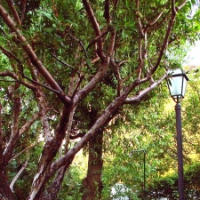 Casa Perotti